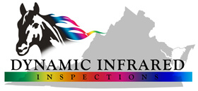 Dynamic Home Inspections Logo